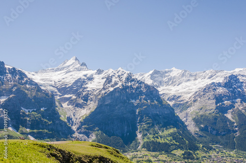 Grindelwald, Alpen, Berner Oberland, Dorf, Schreckhorn, First, Wetterhorn, Grindelwaldgletscher, Wanderferien, Wanderweg, Sommer, Schweiz