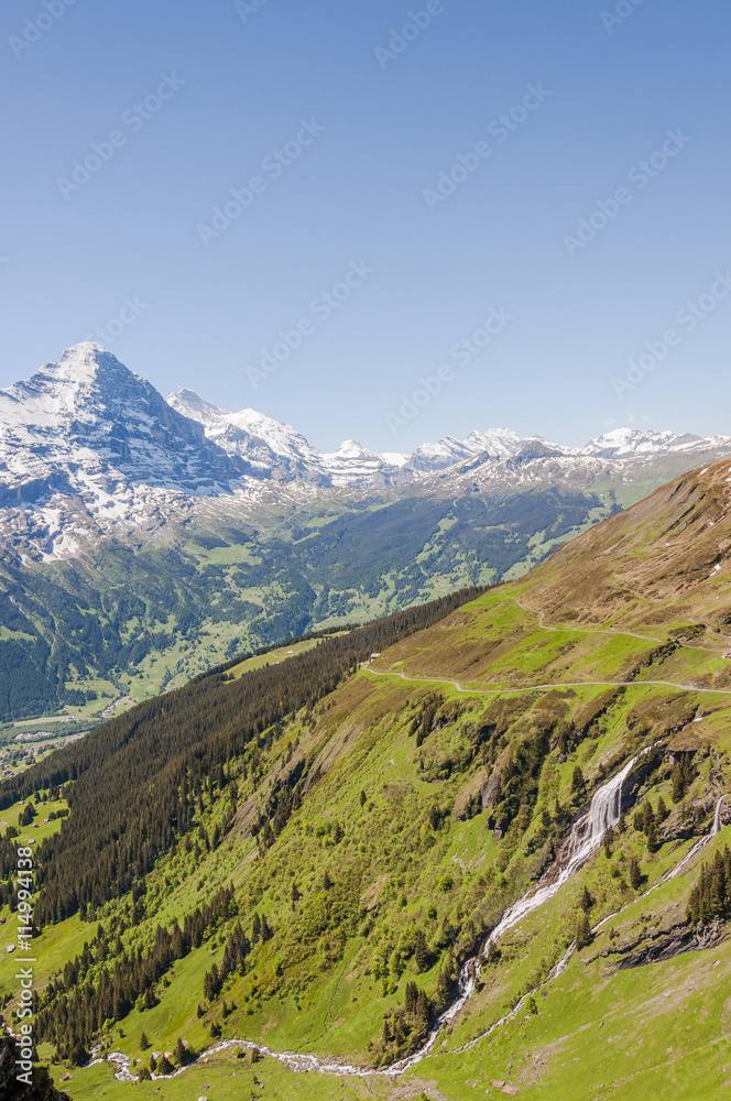 Grindelwald, Berner Oberland, Alpen, Eiger, Eigernordwand, Kleine Scheidegg, Lauberhorn, First, Wanderweg, Waldspitz, Sommer, Schweiz