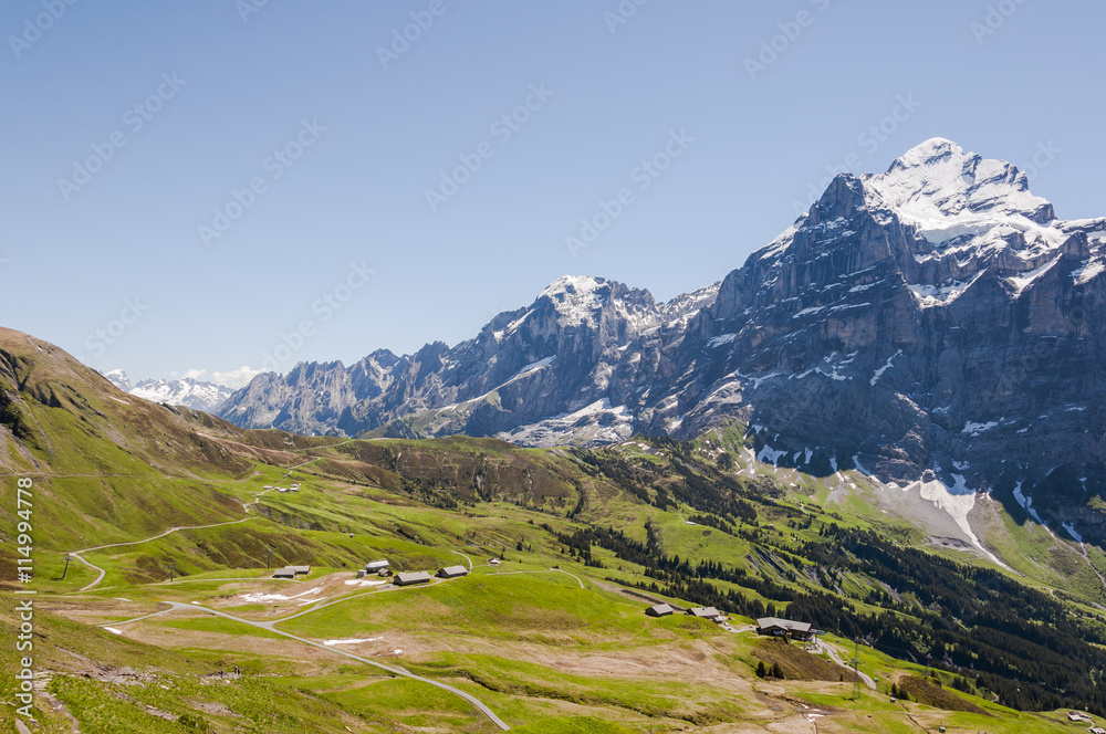 Grindelwald, Dorf, Bergdorf, Grosse Scheidegg, Berner Oberland, Wetterhorn, Engelhörner, Rosenlaui, Schreckfeld, Wanderweg, Sommer, Schweizer Berge, Schweiz