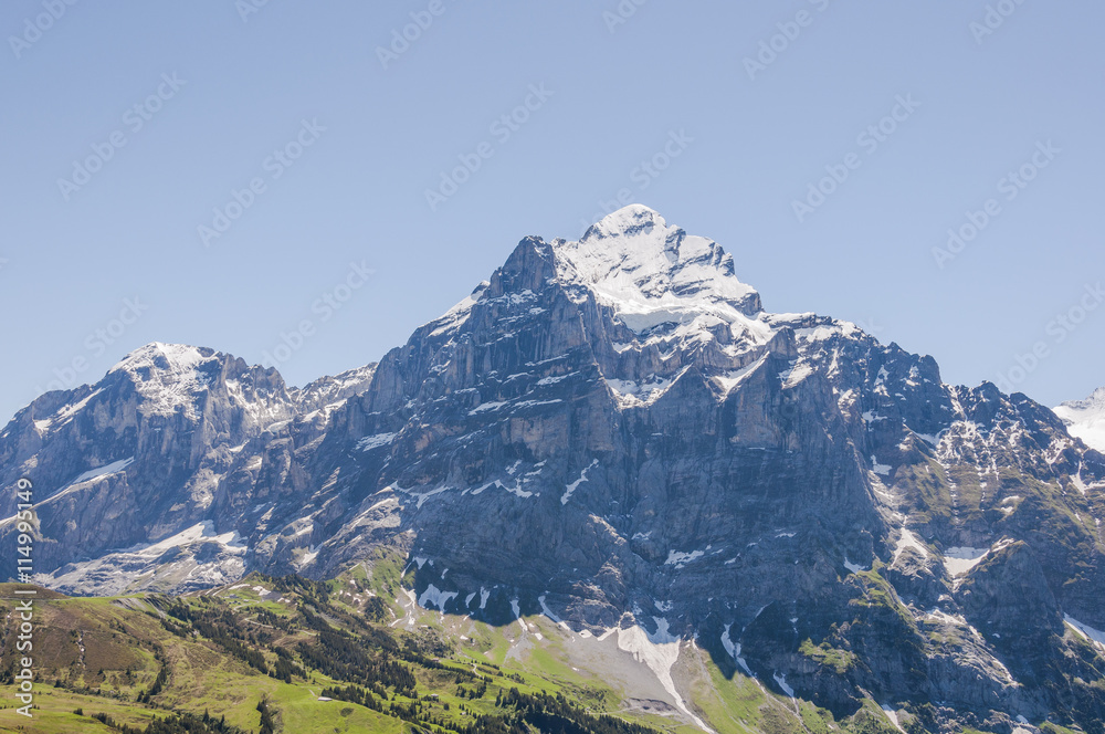 Grindelwald, Alpen, Berner Oberland, Wetterhorn,  Engelhörner, Grosse Scheidegg, Wanderweg, Wanderferien, Schweizer Berge, Sommer, Schweiz