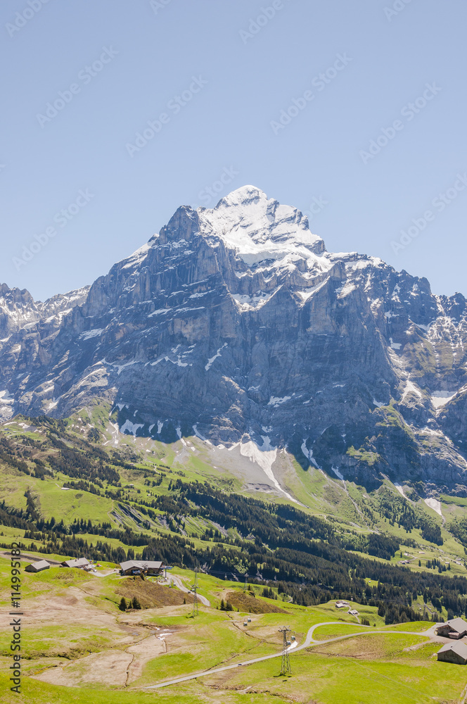 Grindelwald, Berner Oberland, Alpen, Wetterhorn, Schweizer Berge, Wanderweg, Schreckfeld, First, Sommer, Schweiz