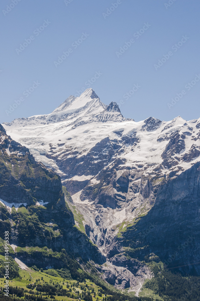 Grindelwald, Berner Oberland, Schreckhorn, Grindelwaldgletscher, Schlucht, Gletscher, Alpen, Grosse Scheidegg, Schweizer Berge, Sommer, Schweiz