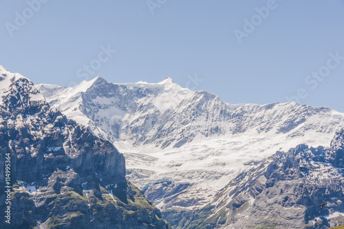Grindelwald  Berner Oberland  Alpen  Grindelwaldgletscher  Gletscher  Schweizer Berge  Sommer  Schweiz