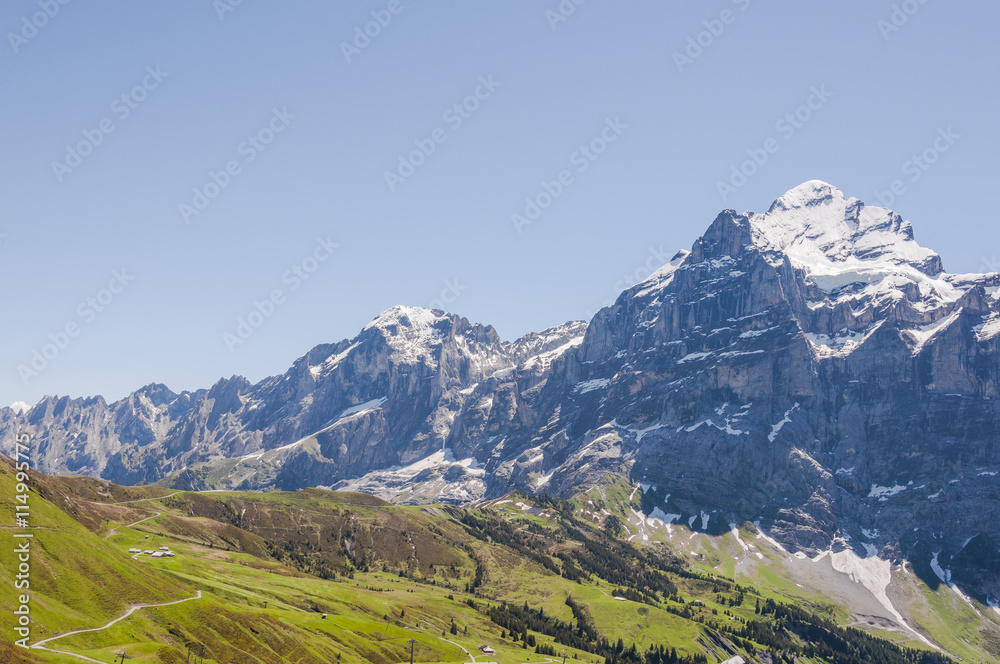 Grindelwald, Wetterhorn, Engelhörner, Grosse Scheidegg, Wanderweg, Höhenweg, First, Rosenlaui, Schlucht, Schweizer Berge, Sommer, Schweiz