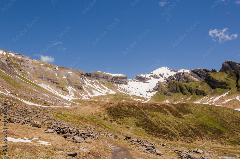 Fototapeta premium Grindelwald, Berner Oberland, Schwarzhorn, Alpen, First, Schreckfeld, Höhenweg, Grosse Scheidegg, Schweizer Berge, Sommer, Schweiz