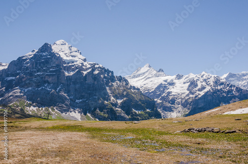 Grindelwald, Berner Oberland, Alpen, Schweizer Berge, Grosse Scheidegg, Wetterhorn, Schreckhorn, Höhenweg, Schreckfeld,, Sommer, Schweiz