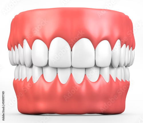 3D illustration teeth and gum model.