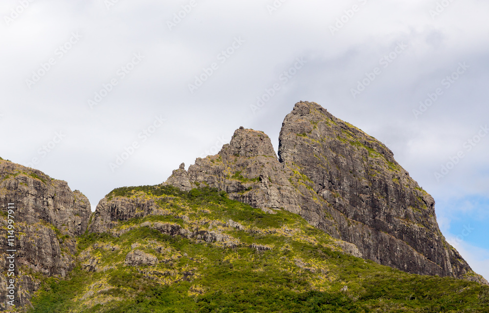 Bergkette auf Mauritius mit Zuckerrohrfeld