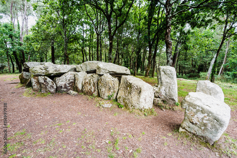 Le dolmen de Mané Croc’h, Bretagne, France