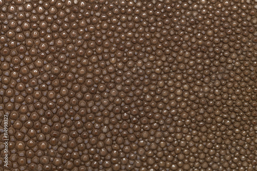 Wallpaper Mural Genuine stingray skin closeup. Super macro Torontodigital.ca