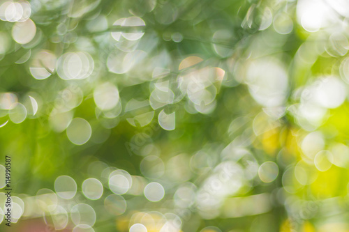 Abstract bokeh natural backgrounds