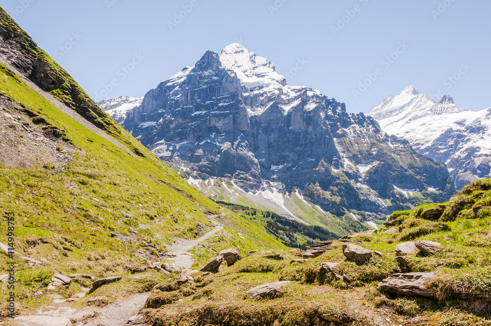 Grindelwald, Grosse Scheidegg, Wetterhorn, Schreckhorn, Alpen, Schweizer Berge, Wanderweg, First, Sommer, Schweiz