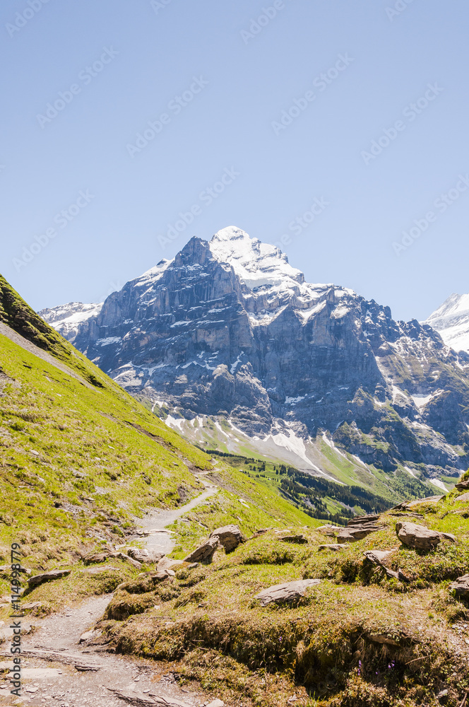 Grindelwald, Berner Oberland, Alpen, Grosse Scheidegg, Wetterhorn, Wanderweg, Höhenweg, Schweizer Alpen, Sommerwanderung, Schweiz
