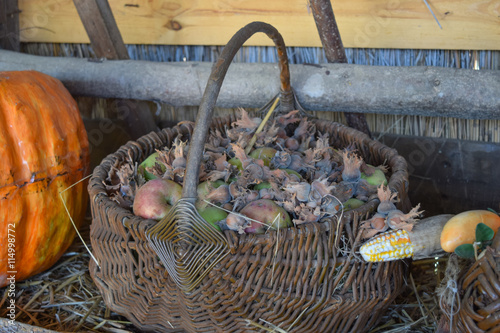 Wicker basket with apples and hazelnuts, standing next to pumpkin and corn
