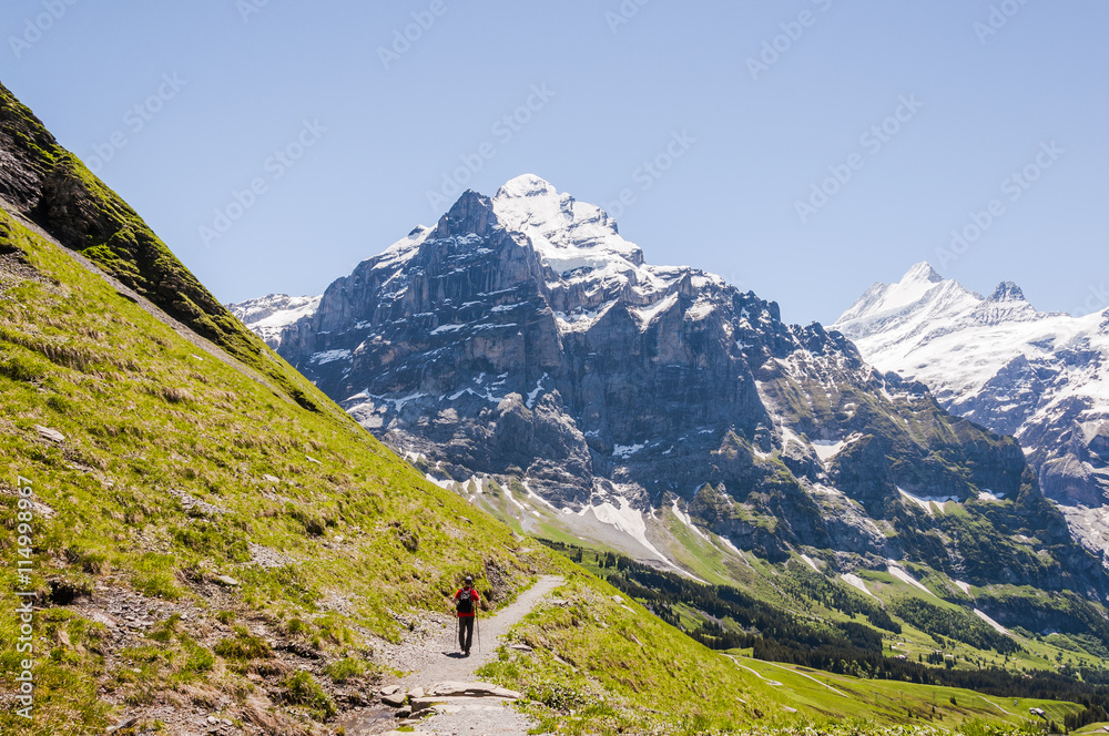 Grindelwald, Alpen, Berner Oberland, Grosse Scheidegg, Wetterhorn, Schreckhorn, Wanderweg,  Wanderer, Sommer, Schweiz