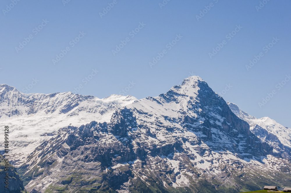 Grindelwald, Berner Oberland, Eiger, Eigernordwand, Grindelwaldgletscher, Gletscher, Alpen, Schweizer Berge, Sommer, Schweiz