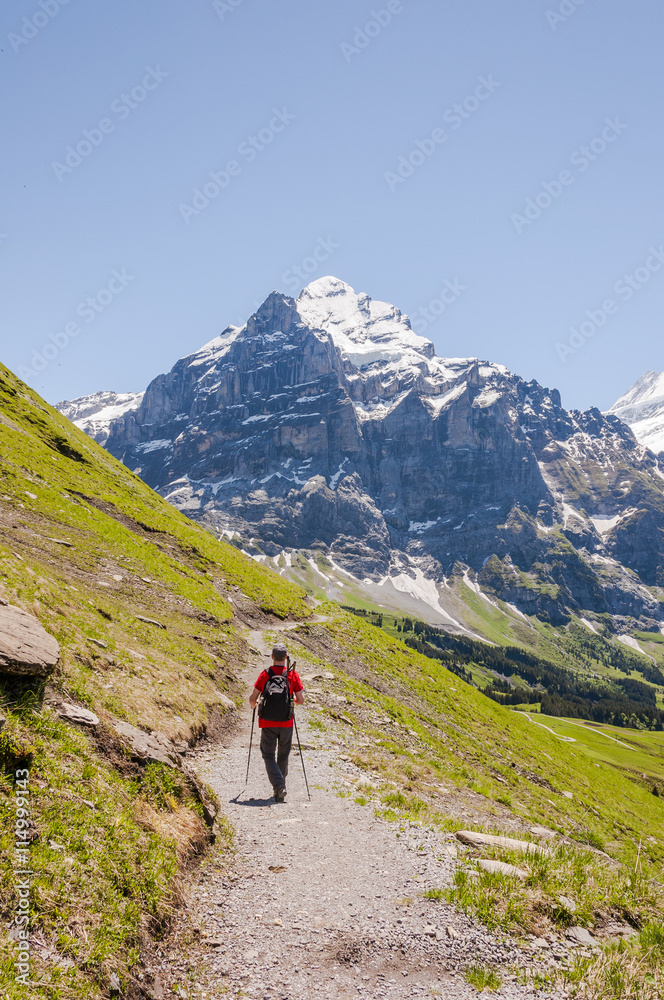 Grindelwald, Berner Oberland, Wetterhorn, Alpen, Schweizer Berge, Grosse Scheidegg, Wanderweg, Wanderer, Höhenweg, Sommer, Schweiz