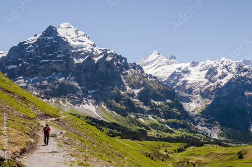 Grindelwald, Berner Oberland, Alpen, Wetterhorn, Schreckhorn, Höhenweg, Wanderweg, Wanderer, Grosse Scheidegg, First, Sommer, Schweiz
