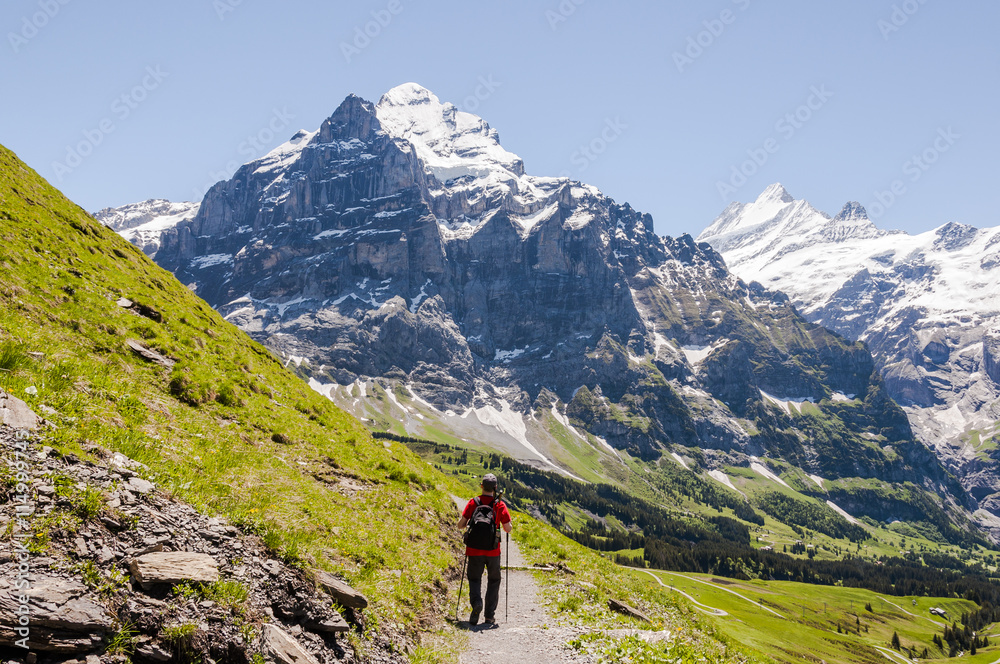 Grindelwald, Berner Oberland, Alpen, Schweizer Berge, Grosse Scheidegg, Wetterhorn, Wanderweg, Wanderer Höhenweg, Sommer, Schweiz