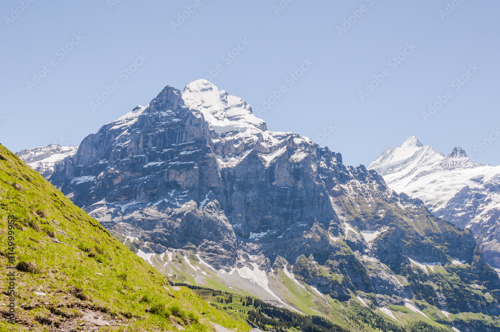 Grindelwald, Grosse Scheidegg, Berner Oberland, Wetterhorn, Schreckhorn, Schweizer Berge, Wanderweg, First, Sommer, Schweiz