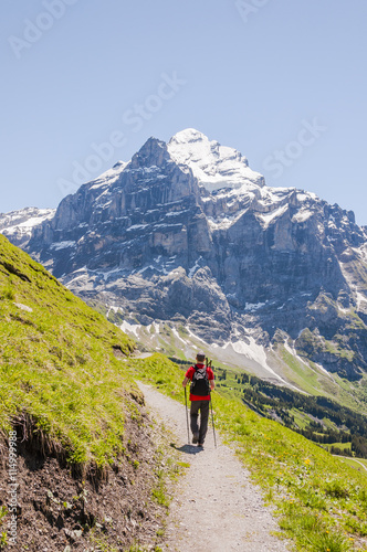Grindelwald, Alpen, Berner Oberland, Wetterhorn, Schweizer Berge, Grosse Scheidegg, Wanderweg, Höhenweg, Wanderer, Sommer, Schweiz