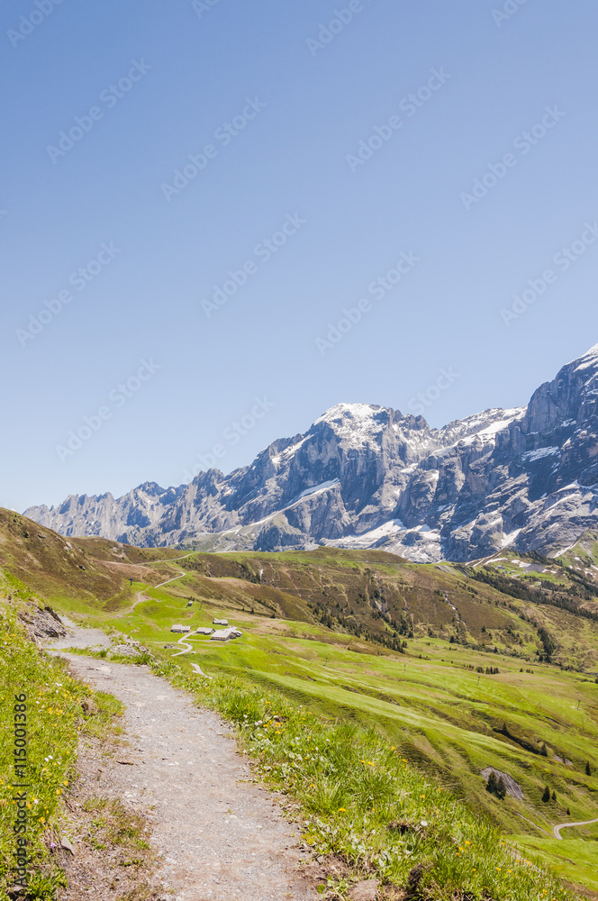 Grindelwald, Alpen, Bergdorf, Berner Oberland, Engelhörner, Grosse Scheidegg, Wetterhorn, Wanderweg, Wanderferien, Sommer, Schweiz