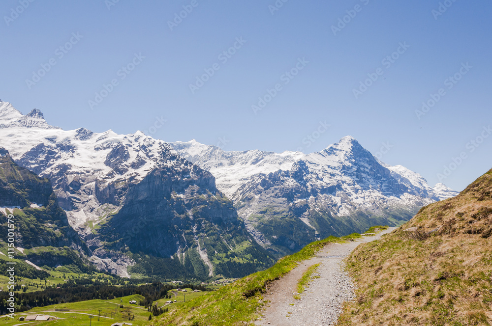Grindelwald, Berner Oberland, Alpen, Eiger, Eigernordwand, Schreckhorn, First, Wanderweg, Höhenweg, Sommer, Schweiz
