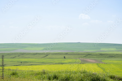  Green field ans sky © panzer25