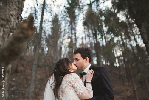 Wedding couple posing near pine forest. Newlyweds in love