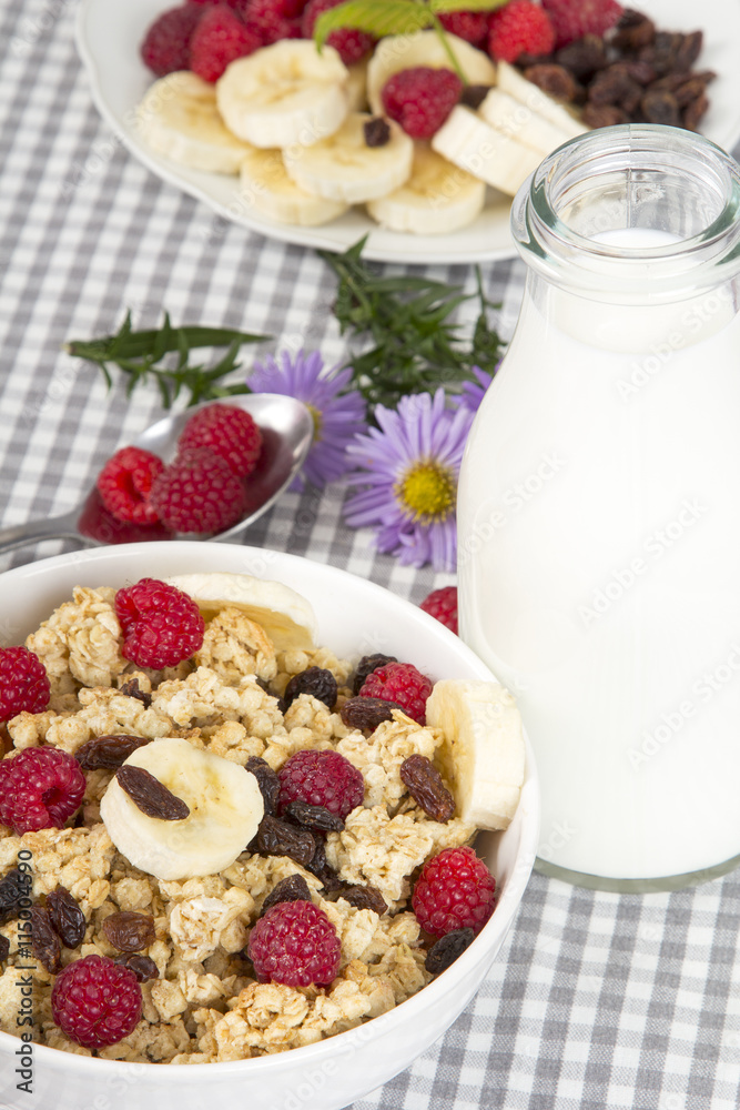 granola with fruits and bottle of fresh milk
granola with fruits and bottle of fresh milk