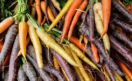 Colorful organic carrots at a local farmers market