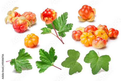 Set of cloudberries (Rubus Chamaemorus) and leaves, paths,elemen photo