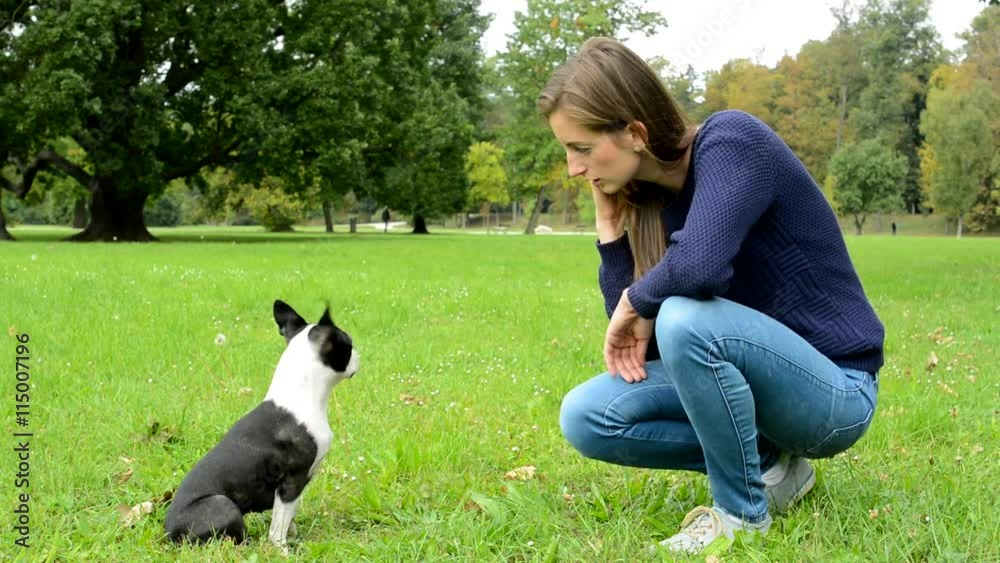 attractive young woman talk to a dog in the park - they sit on the grass - dog looks around attractive young woman talk to a dog in the park - they sit on the grass - dog looks around