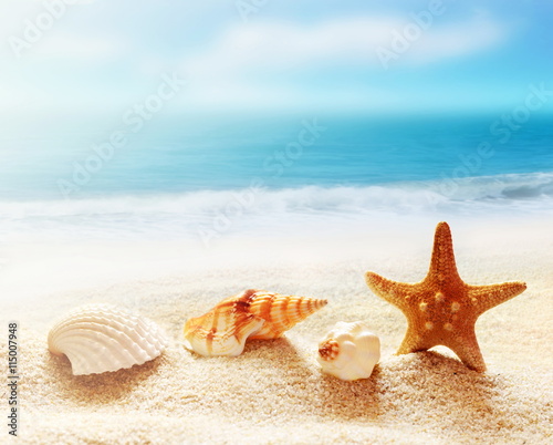 Starfish and sea shells on the beach