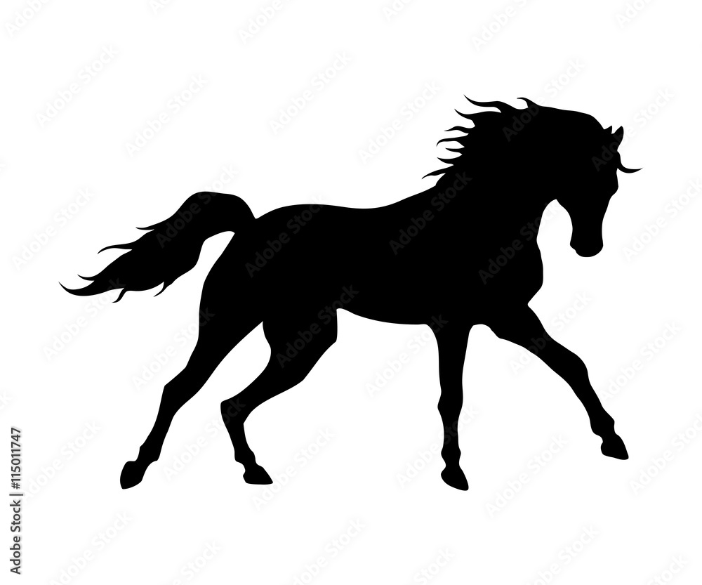 Naklejka Działająca koń czarna sylwetka. Ilustracja wektorowa wysokiej jakości.