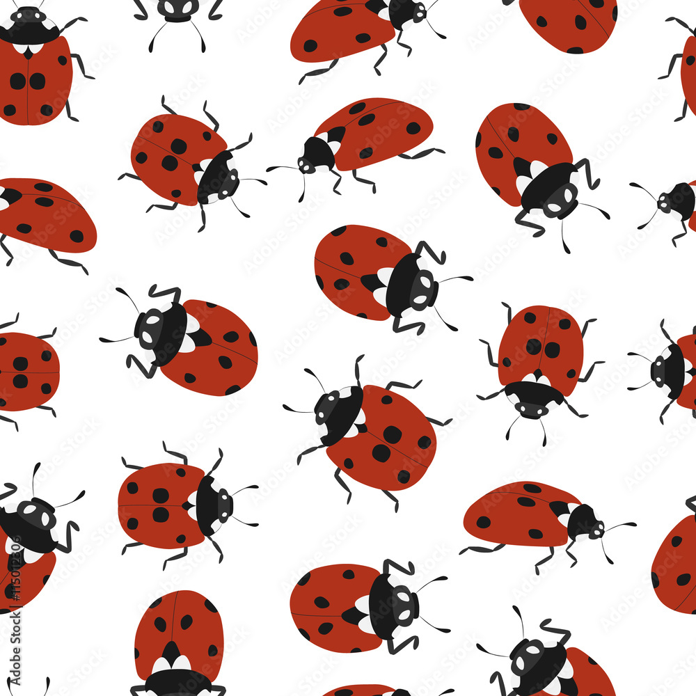Hand-drawn ladybug. Isolated on white background. Hand-drawn ladybug. Isolated on white background.
