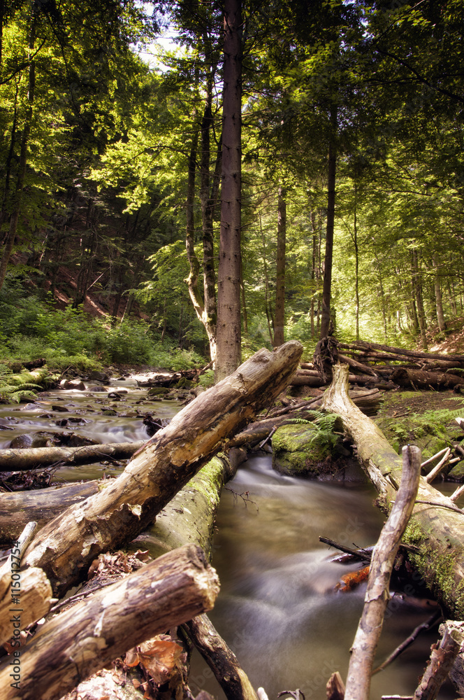 Pylypets River near the Shypit Waterfall (Ukraine 2016) Pylypets River near the Shypit Waterfall (Ukraine 2016)