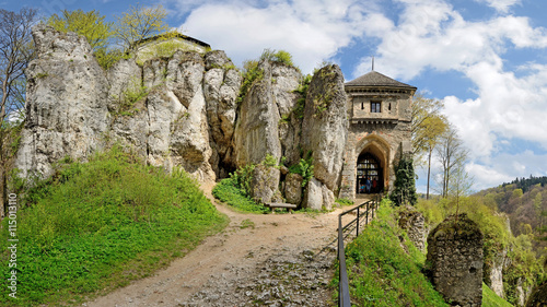 Zamek w Ojcowie -Stitched Panorama