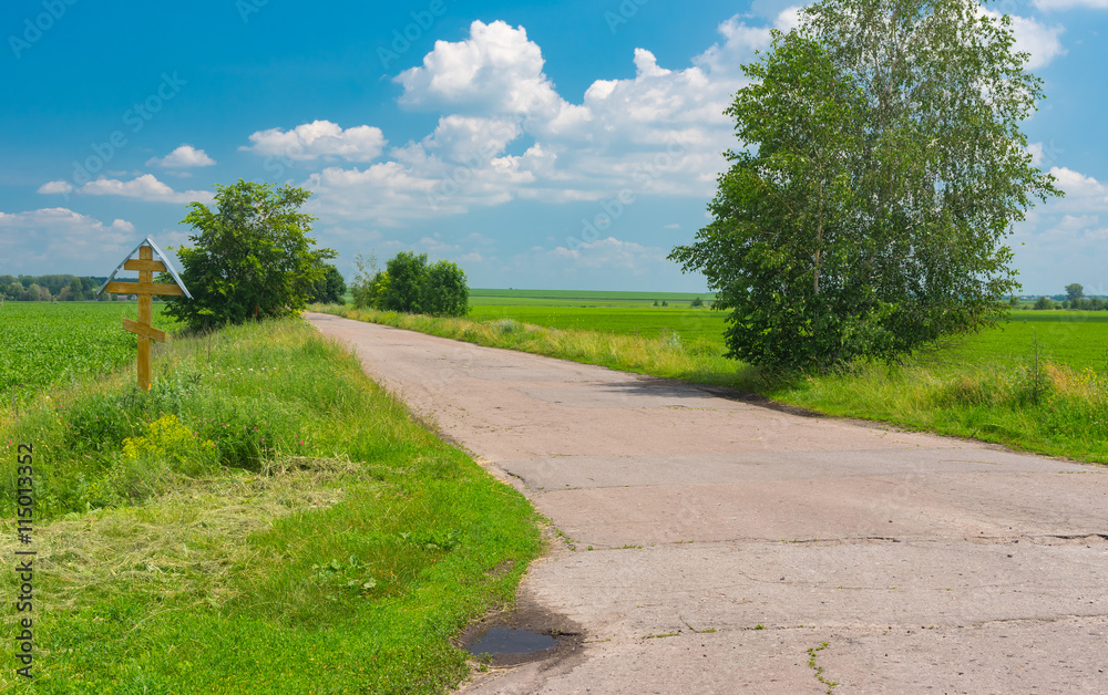 Summer landscape with remote road between agricultural fields in Poltavskaya oblast, Ukraine.