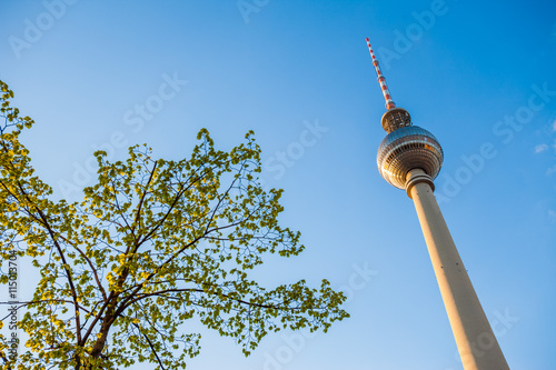 Fotografie, Tablou Fernsehturm (TV Tower), Berlin Alexanderplatz