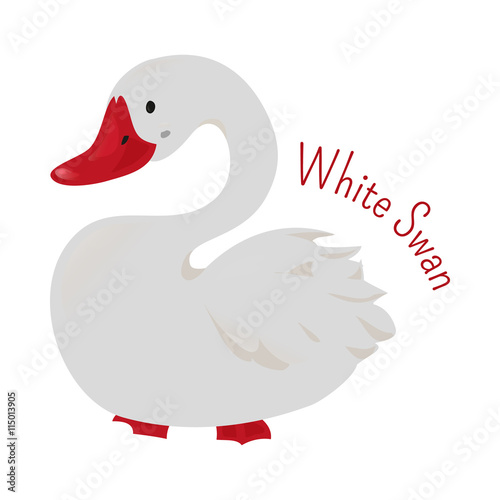 White cartoon swan isolated photo