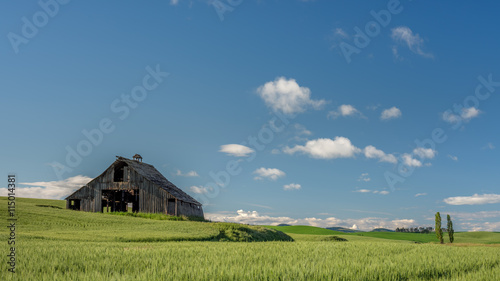 Eastern Washington wheat field with an old barn