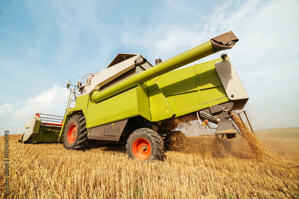 Combine harvester in action on wheat field Combine harvester in action on wheat field