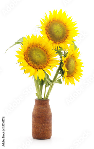 Flowers sunflower in a vase.