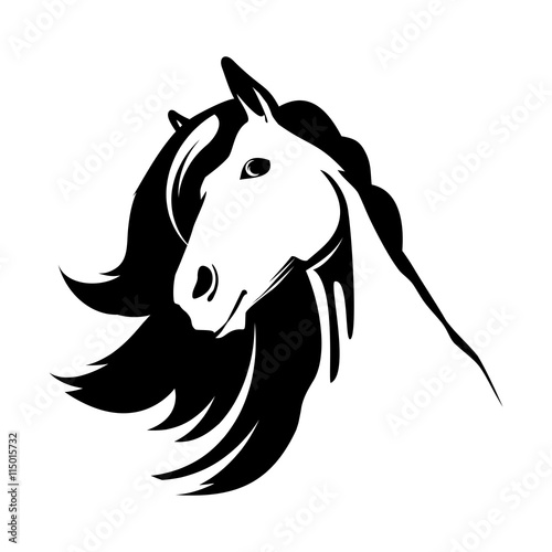 Head of the cute horse