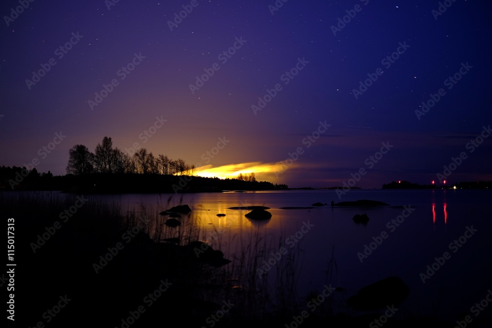 Night city with a lake and a starry sky Night city with a lake and a starry sky