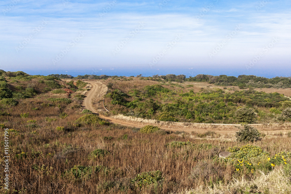 Coastal  Dirt Road Winding Through Natural Vegetation Towards Oc