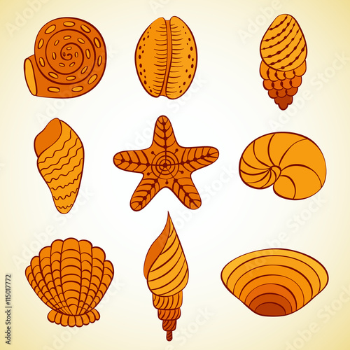 Nautilus shells. Vector.