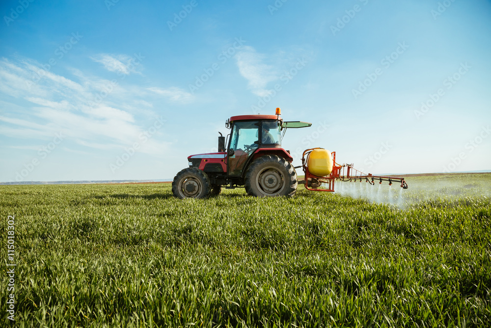 Farmer spraying green wheat field Farmer spraying green wheat field