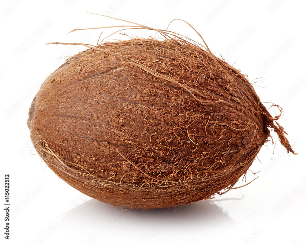 Coconut close up isolated on white Coconut close up isolated on white